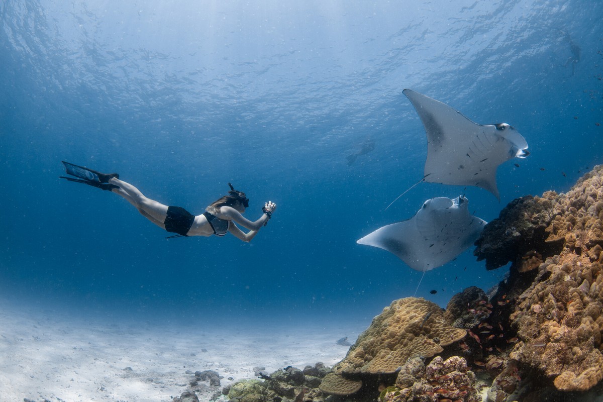 Familienurlaub auf den Malediven: Four Seasons Landaa Giraavaru Reef Mantas © Four Seasons