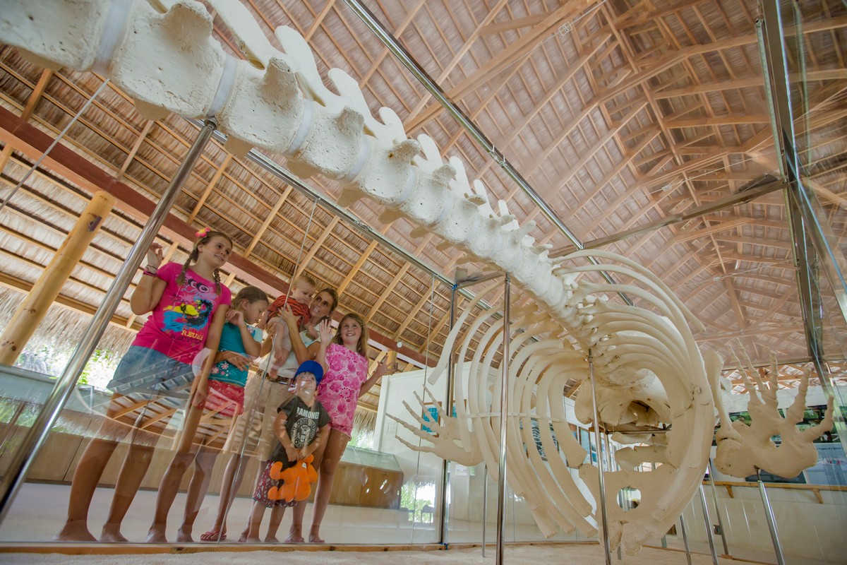 Malediven mit Kindern bereisen: Kuramathi EcoCentreKids © Kuramathi Maldives